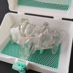 Biomodelo 3D Transparente Personalizado